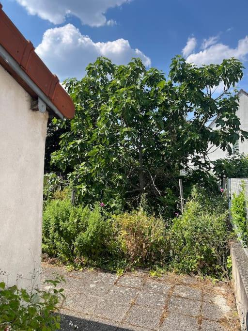 Lovely House Close To Paris Вітрі-сюр-Сен Екстер'єр фото